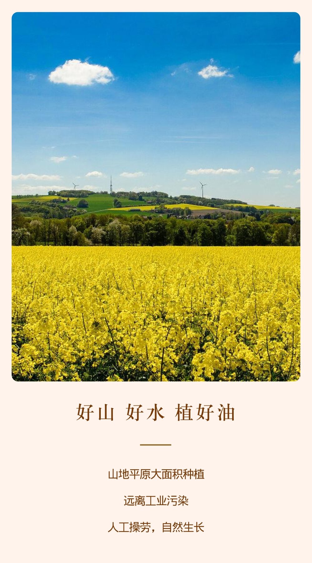 谷小婆-油菜籽油详情图-6_proc.jpg