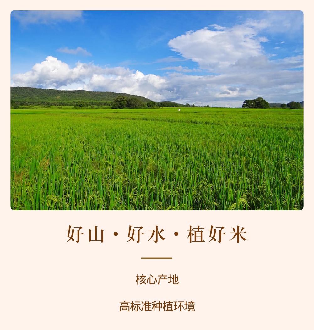 谷小婆-五常大米金色电商详情图-4.jpg